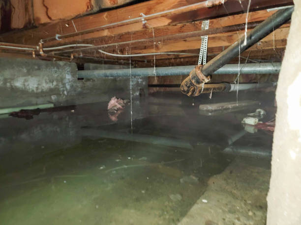 Best 24-hour water damage restoration  in Winslow, AZ