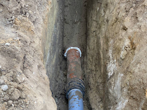 Best Sewage cleanup and water damage restoration  in Winslow, AZ