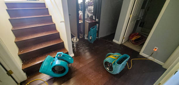 Best Fire Damage Restoration  in Winslow, AZ