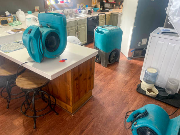 Trusted Winslow, AZ Water damage restoration Experts