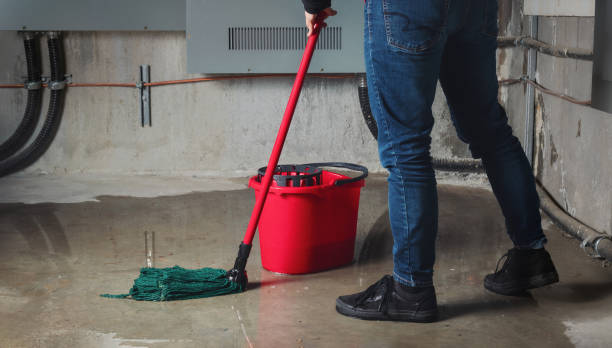 Best Ceiling water damage repair  in Winslow, AZ