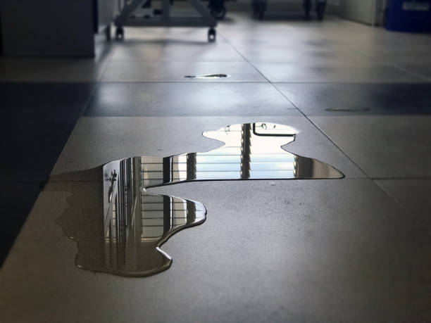 Best 24-hour water damage restoration  in Winslow, AZ