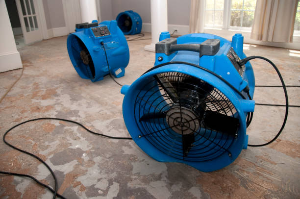 Best Emergency water damage restoration  in Winslow, AZ