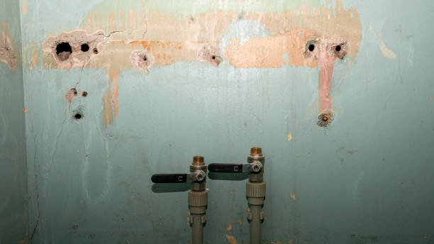 Best Commercial water damage restoration  in Winslow, AZ