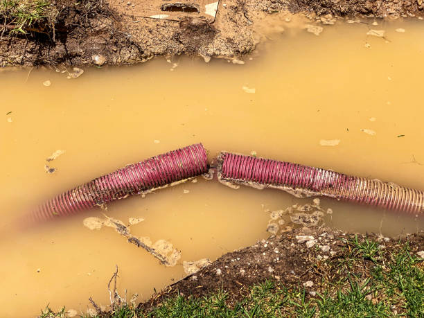 Carpet water damage restoration in Winslow, AZ