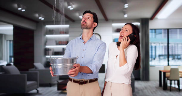 Best Water damage restoration company  in Winslow, AZ