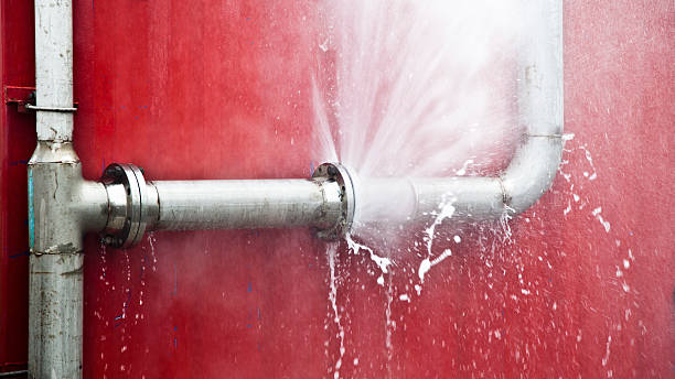 Best Water damage contractors near me  in Winslow, AZ